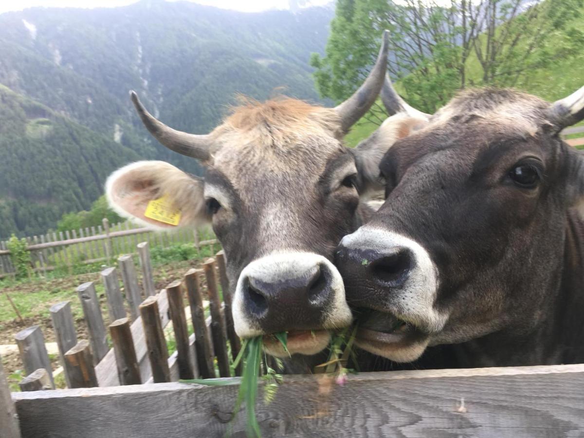 Knappnhof Campo di Trens Esterno foto
