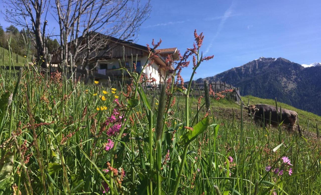 Knappnhof Campo di Trens Esterno foto